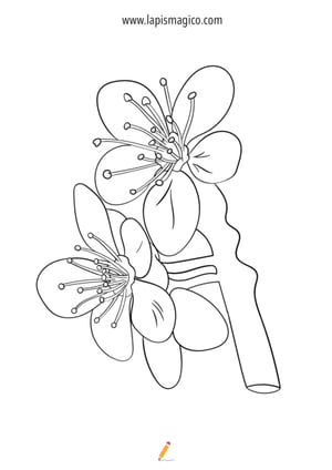 Desenhos de Março para colorir, ficha pdf nº12