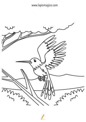 Desenhos de Março para colorir, ficha pdf nº19