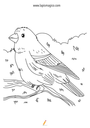 Desenhos de Março para colorir, ficha pdf nº24