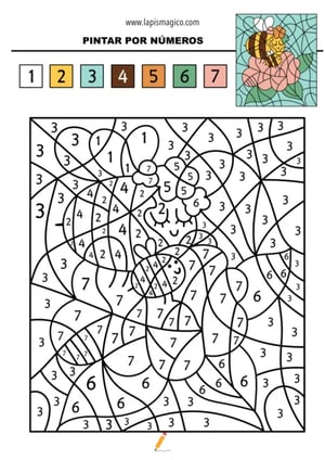 Desenhos de colorir por números, ficha pdf nº24