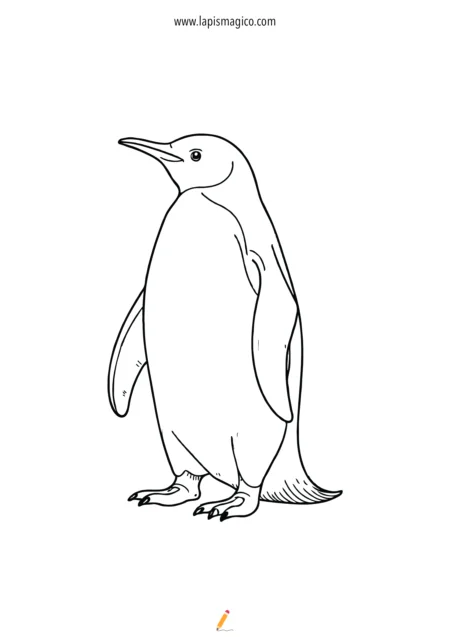 Desenhos de pinguins para colorir, ficha pdf nº2