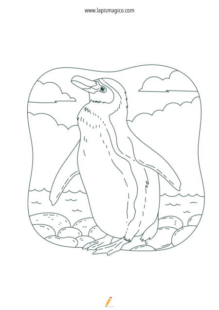 Desenhos de pinguins para colorir, ficha pdf nº10