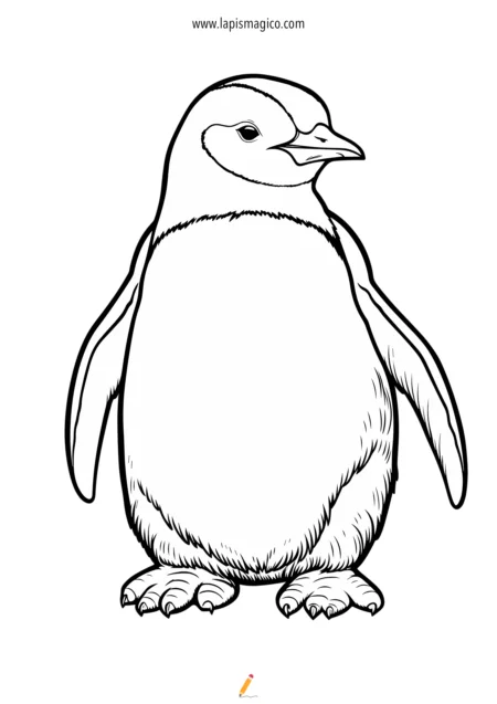 Desenhos de pinguins para colorir, ficha pdf nº14