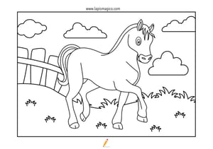 Desenhos de cavalos para colorir, ficha pdf nº1