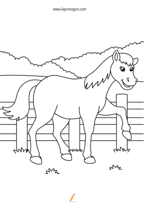 Desenhos de cavalos para colorir, ficha pdf nº3