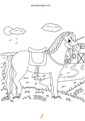 Desenhos de cavalos para colorir, ficha pdf nº10