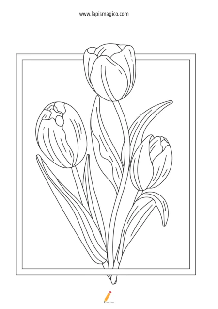 Desenhos de flores para colorir, ficha pdf nº4