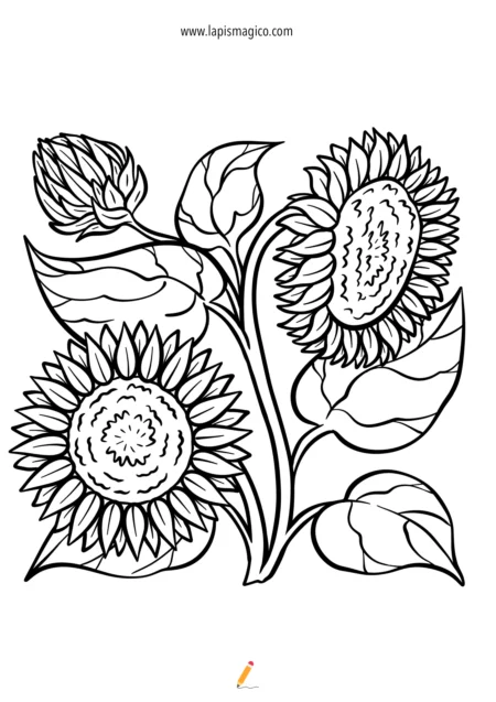 Desenhos de flores para colorir, ficha pdf nº5