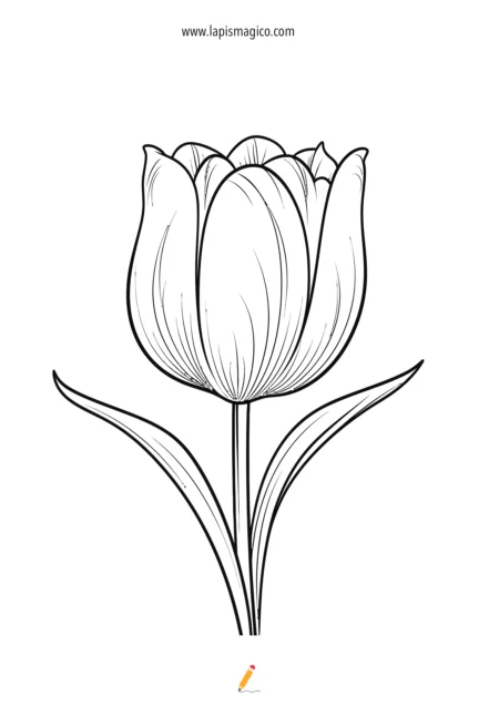 Desenhos de flores para colorir, ficha pdf nº10