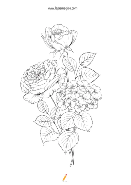 Desenhos de flores para colorir, ficha pdf nº13