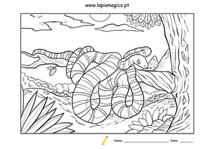 A bela e a cobra, ficha pdf nº1