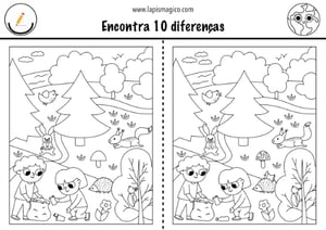 Natureza diferenças, ficha pdf nº2
