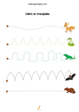 Grafismos de animais, ficha pdf nº5
