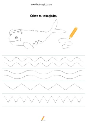 Grafismos de animais, ficha pdf nº9