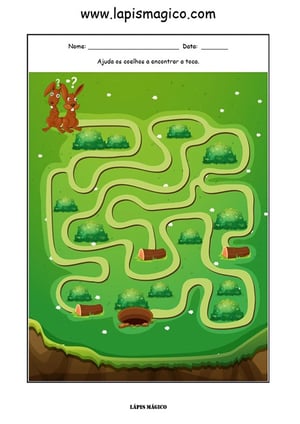 Zezito, o coelho sonhador, ficha pdf nº1