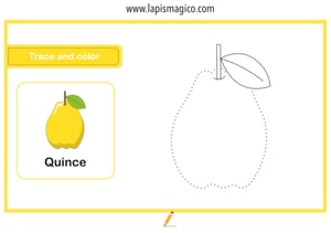 Frutos em inglês, ficha pdf nº25 Frutos em inglês, ficha pdf nº25