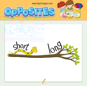 Antónimos ou opostos em inglês, ficha pdf nº5