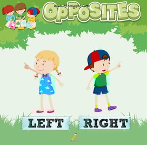 Antónimos ou opostos em inglês, ficha pdf nº6