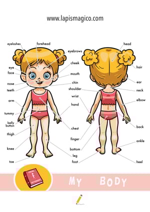 Corpo humano em inglês, ficha pdf nº6