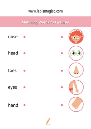 Corpo humano em inglês, ficha pdf nº7