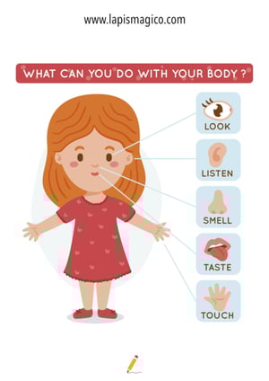 Corpo humano em inglês, ficha pdf nº14