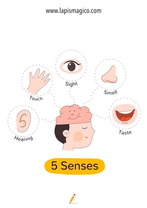 Corpo humano em inglês, ficha pdf nº15