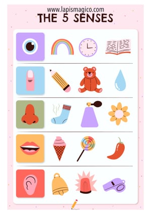 Corpo humano em inglês, ficha pdf nº16