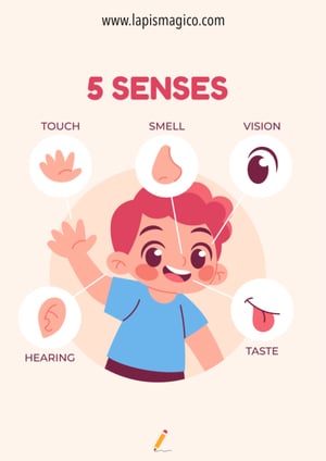 Corpo humano em inglês, ficha pdf nº17