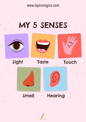 Corpo humano em inglês, ficha pdf nº18