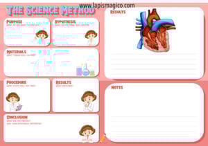 Corpo humano em inglês, ficha pdf nº20