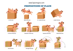 Preposições, ficha pdf nº5