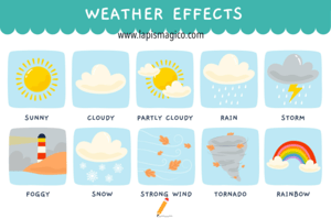 Clima, ficha pdf nº8