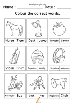 Vocabulário, ficha pdf nº8