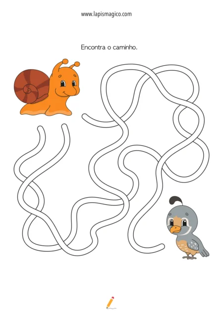 Caracol, ficha pdf nº2