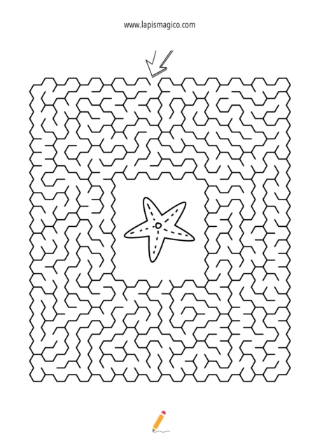 Verao, ficha pdf nº2