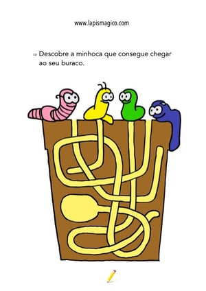 Minhoca, ficha pdf nº1