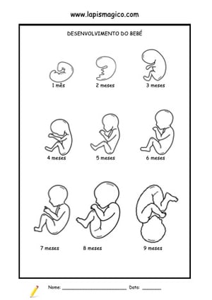 A mamã pôs um ovo, ficha pdf nº1