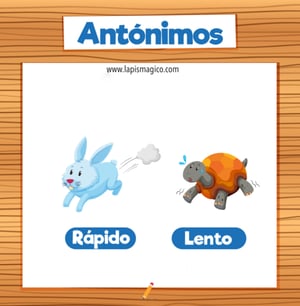 Antónimos, ficha pdf nº7