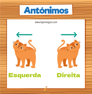 Antónimos, ficha pdf nº12