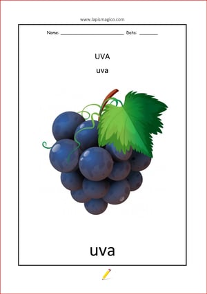 Uva, ficha pdf nº2