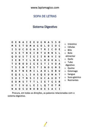 Sistema Digestivo, ficha pdf nº1