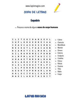 Corpo humano, ficha pdf nº1