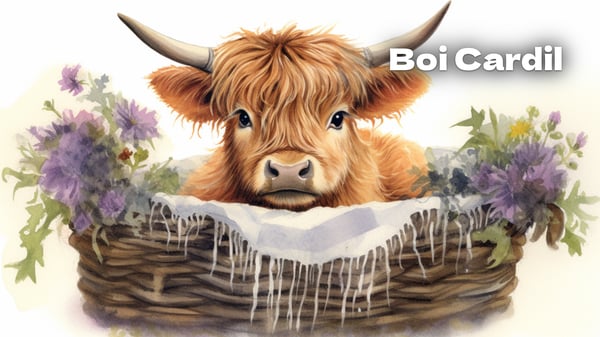 Boi Cardil, conto tradicional português