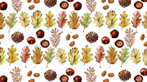 A história  da Maria Castanha