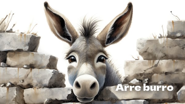 Arre burro, lengalenga da cultura portuguesa em várias versões