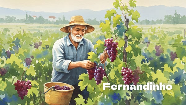 Fernandinho, lengalenga tradicional para crianças