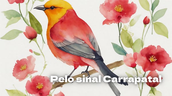 Pelo sinal carrapatal, lengalengas para crianças