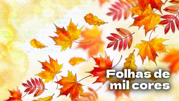 Folhas de mil Cores , música e letra