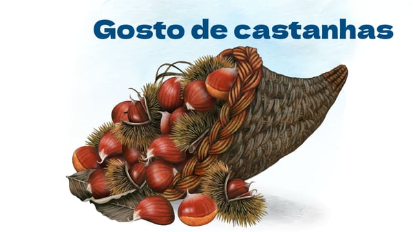 Eu Gosto de Castanhas (Tucantar), música e letra