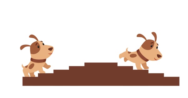 Antónimos ou palavras opostas